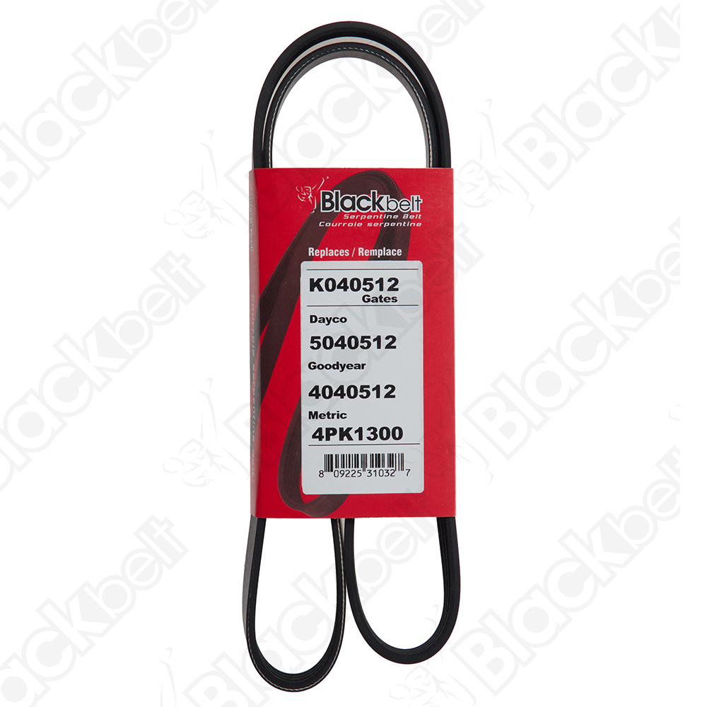 COURROIE SERPENTINE BLACK BELT