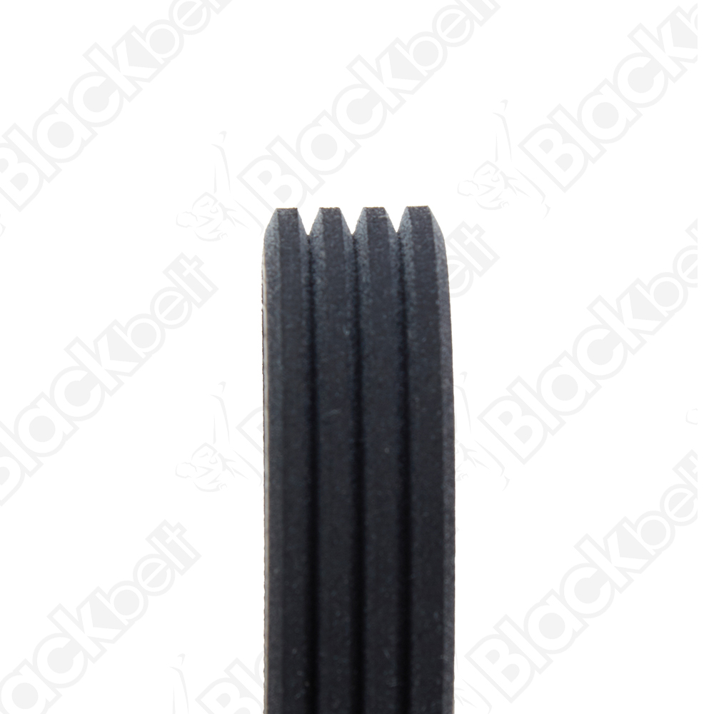 BLACKBELT SERPENTINE BELT