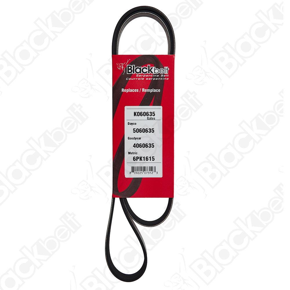 BLACKBELT SERPENTINE BELT - 2