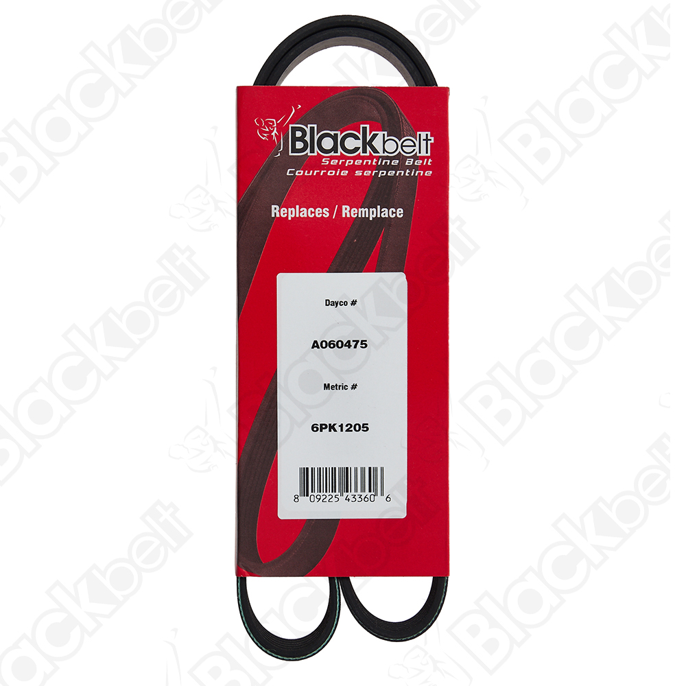 BLACKBELT SERPENTINE BELT - 2