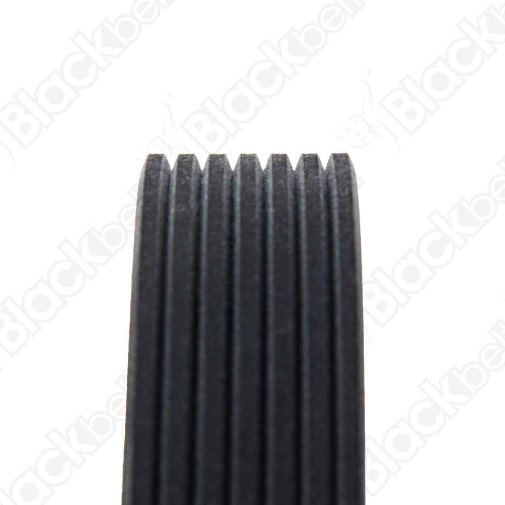 BLACKBELT SERPENTINE BELT