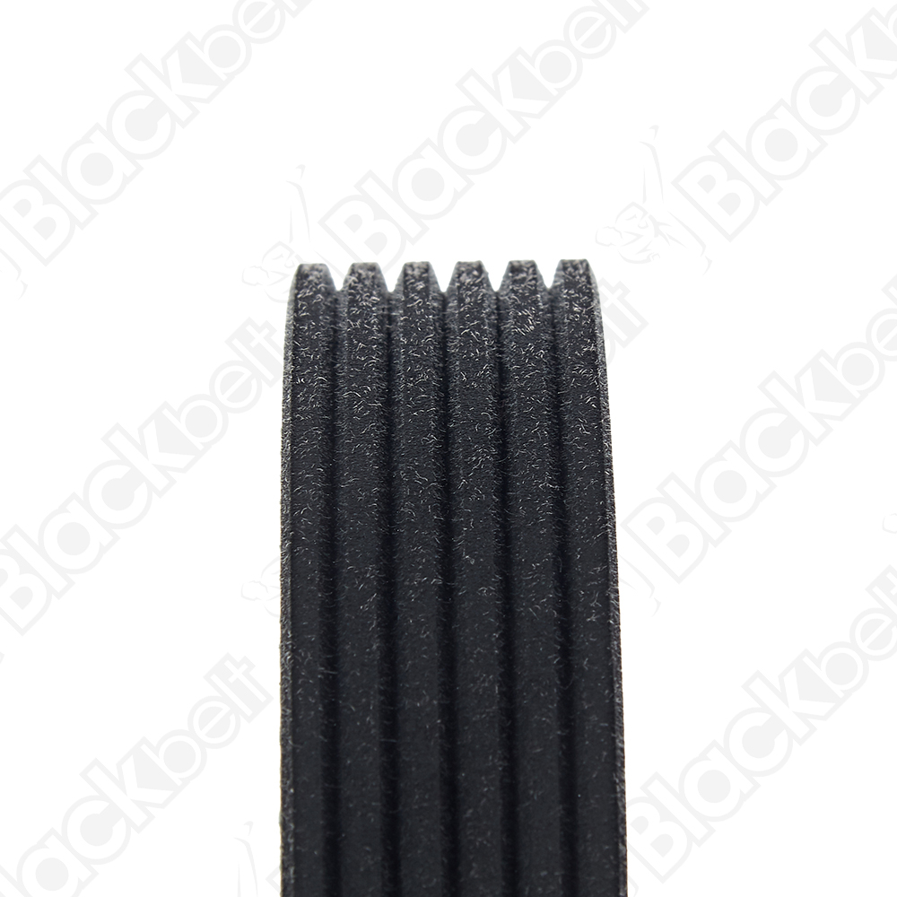 COURROIE SERPENTINE BLACK BELT - 2
