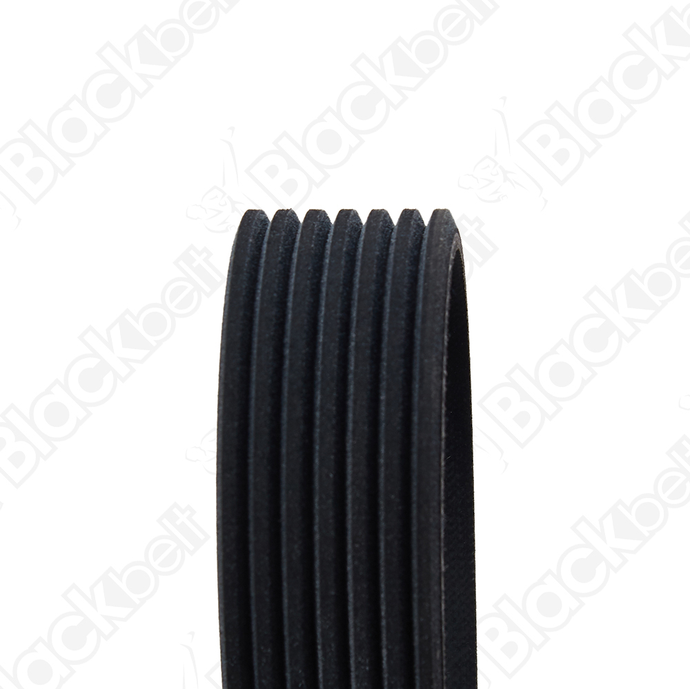 BLACKBELT SERPENTINE BELT - 2