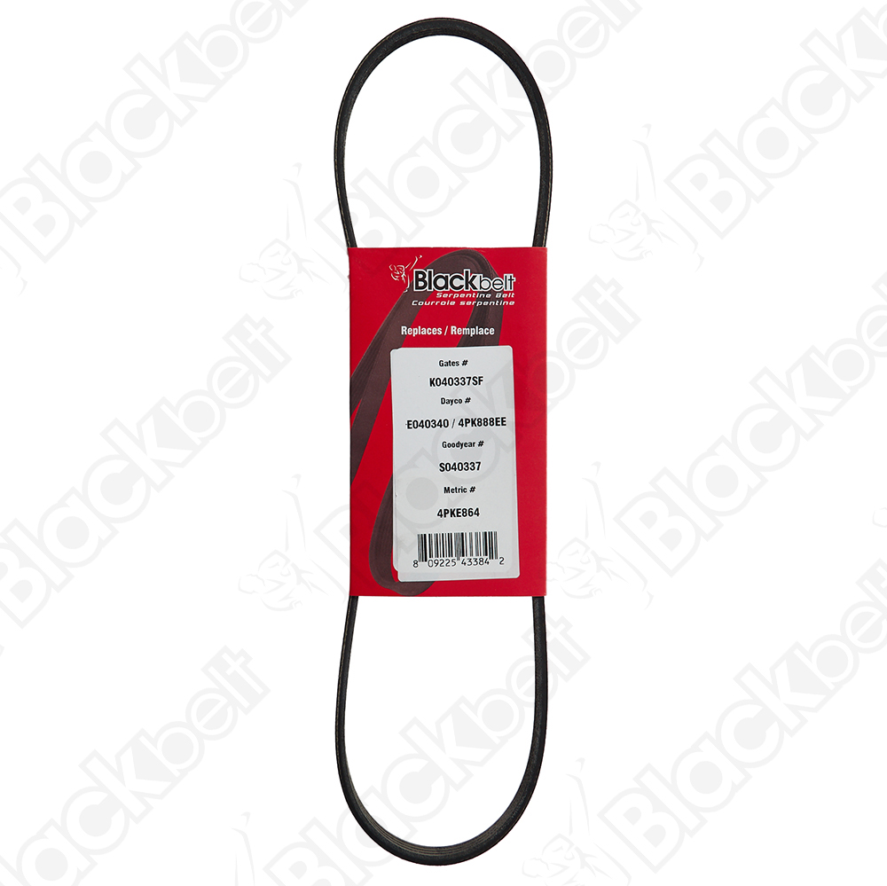 BLACKBELT ELASTIC SERP BELT - 2