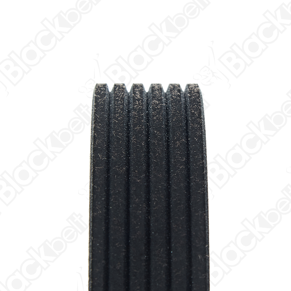 COURROIE SERPENTINE BLACK BELT - 2