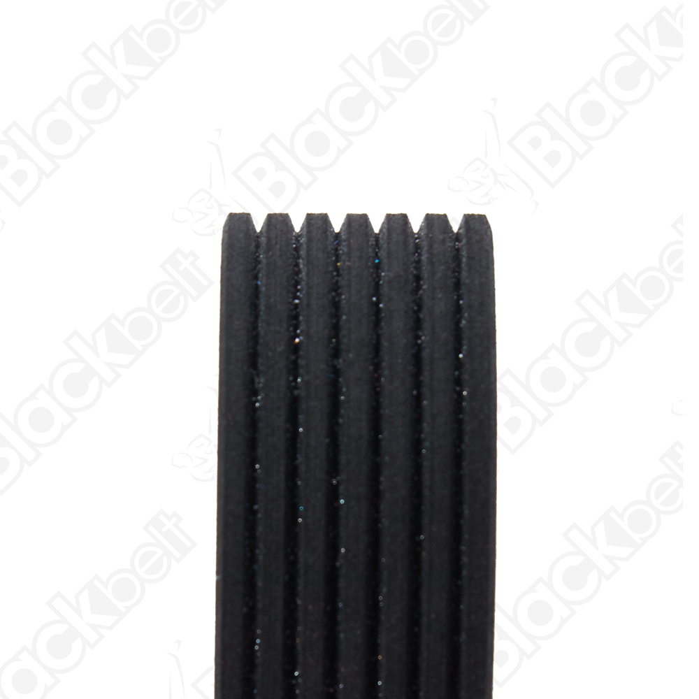 COURROIE SERPENTINE BLACK BELT - 2