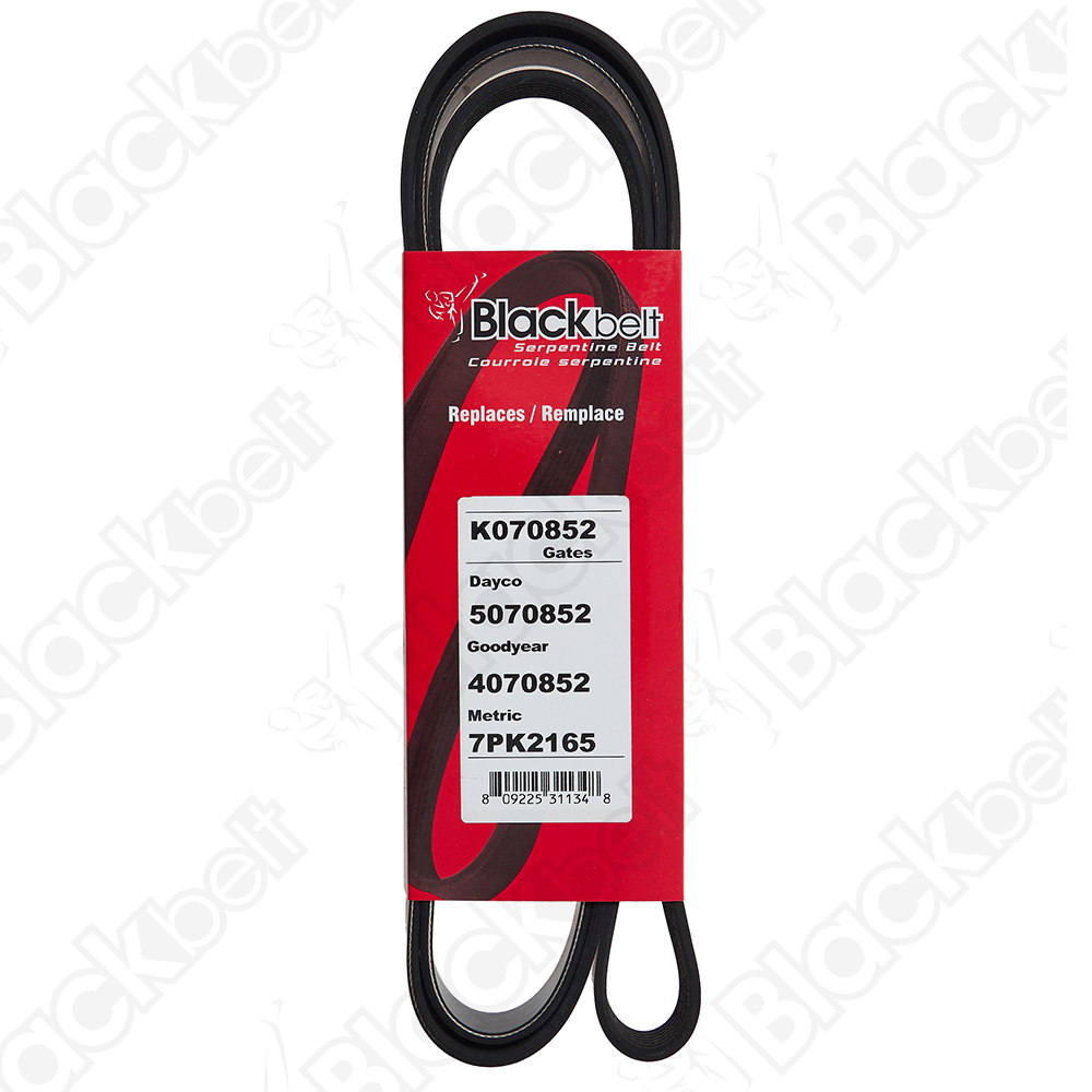 BLACKBELT SERPENTINE BELT - 2
