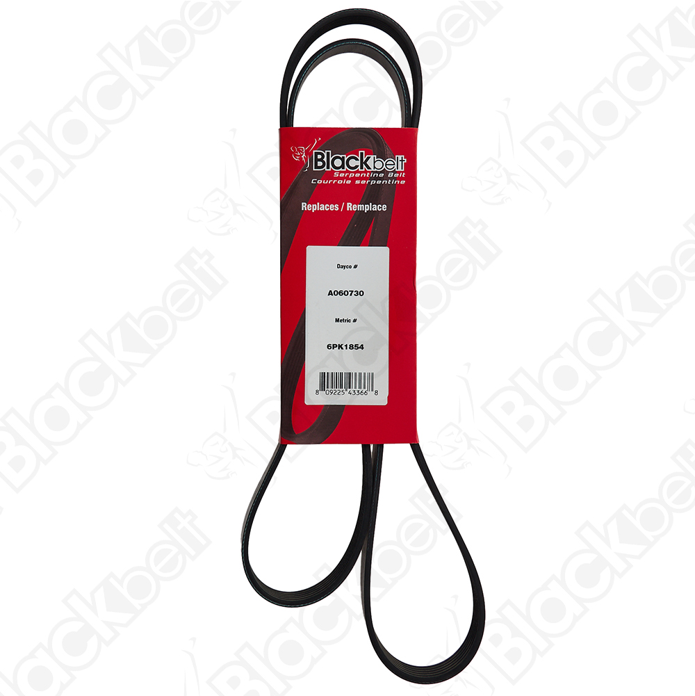 BLACKBELT SERPENTINE BELT - 2