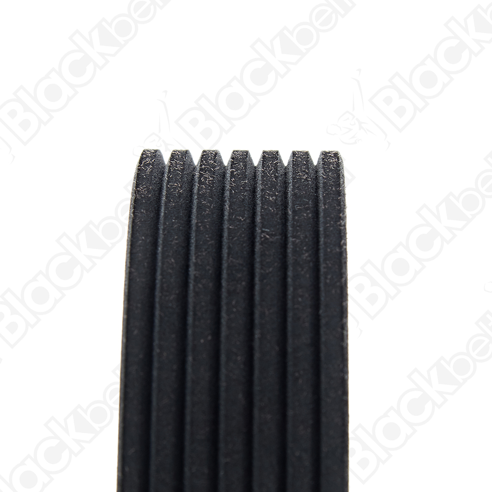 BLACKBELT SERPENTINE BELT