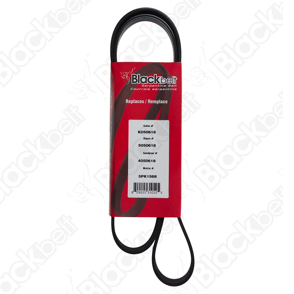 COURROIE SERPENTINE BLACK BELT - 2