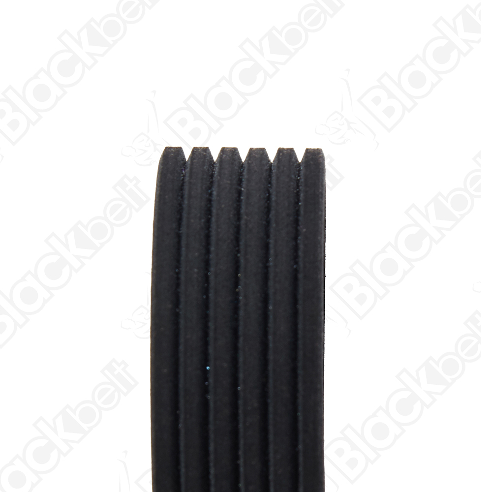 COURROIE SERPENTINE BLACK BELT