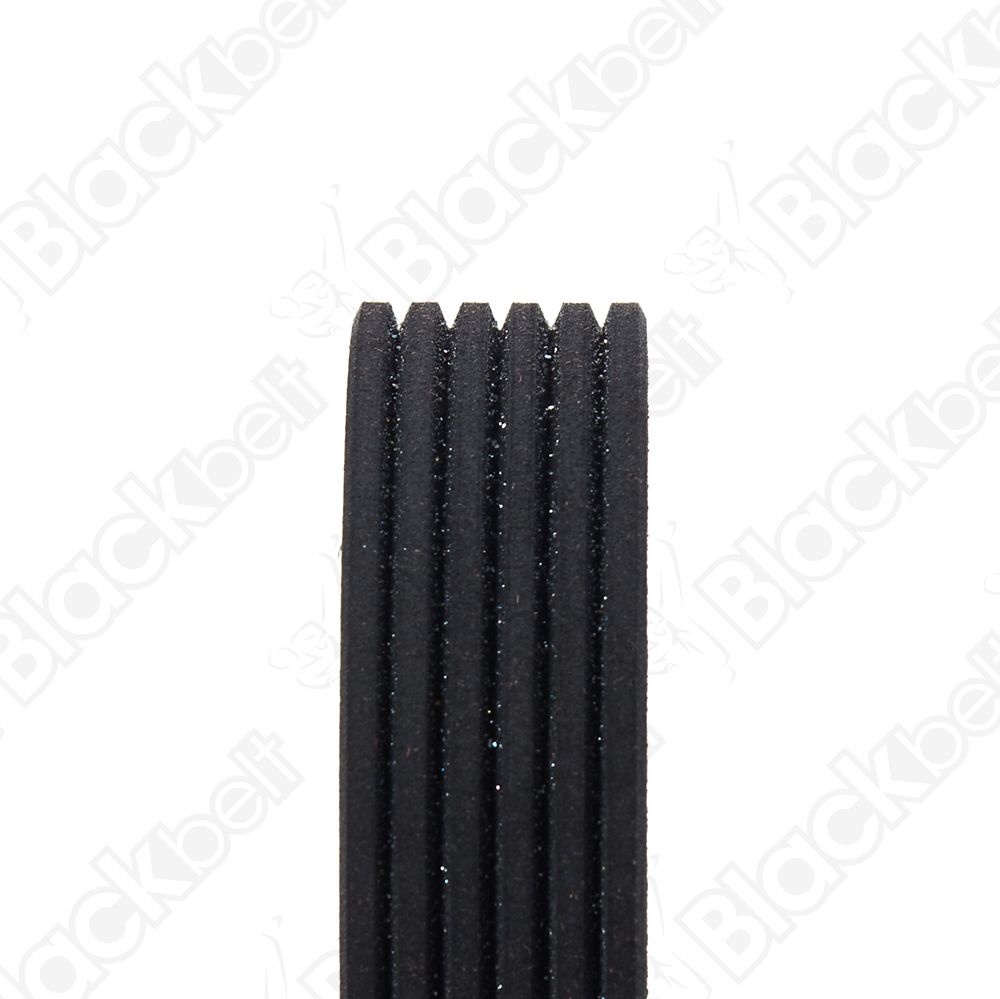 BLACKBELT SERPENTINE BELT - 2