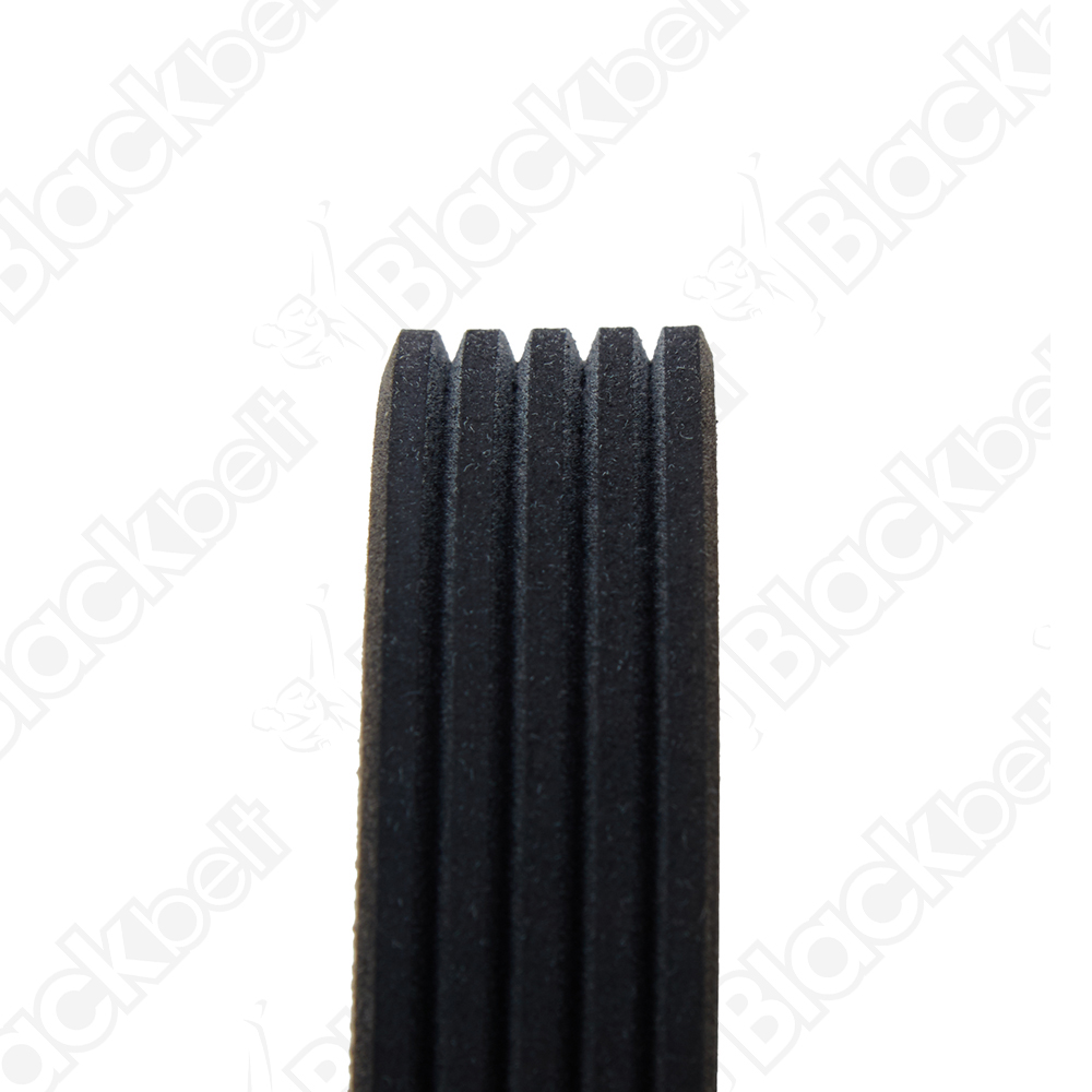 COURROIE SERPENTINE BLACK BELT - 2