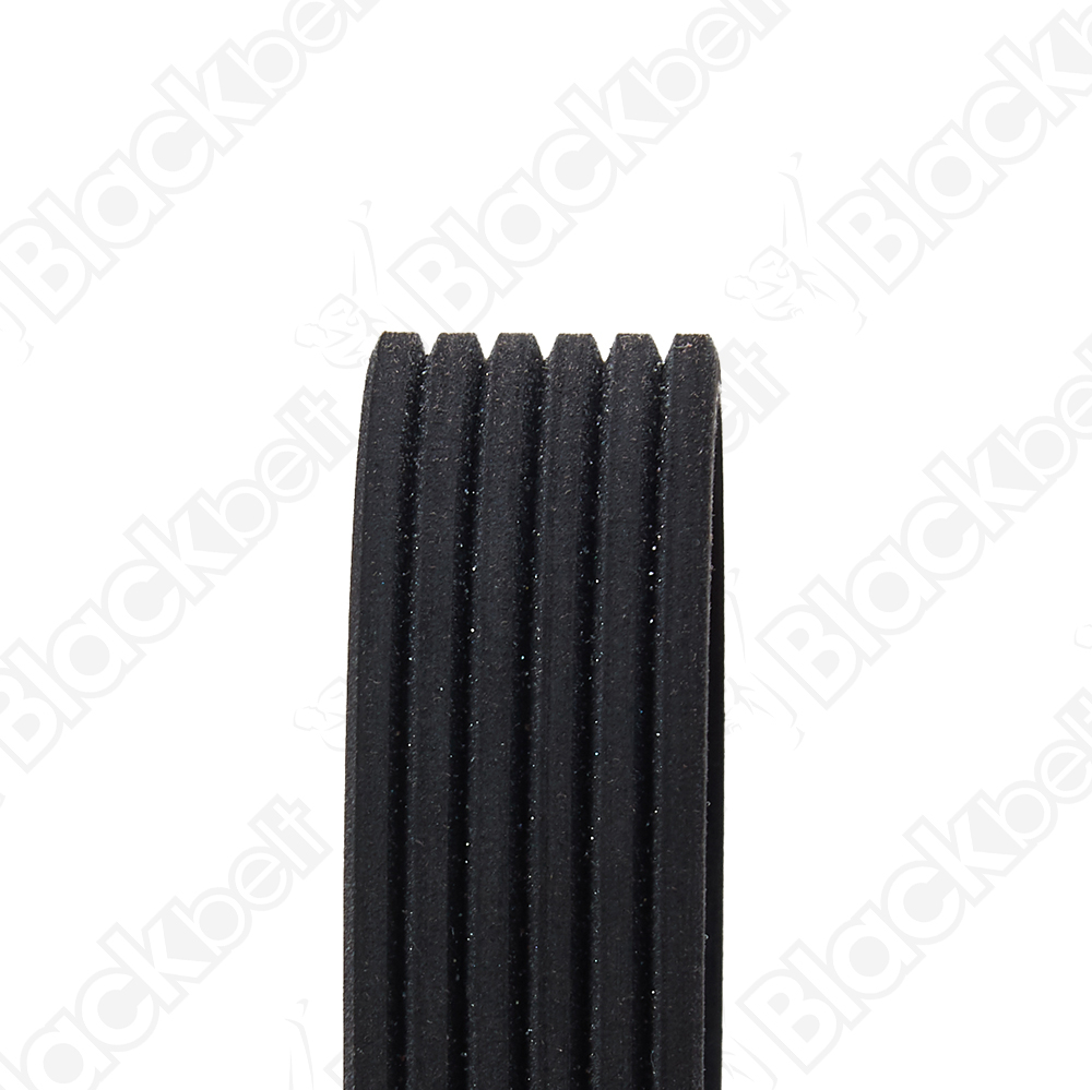 BLACKBELT SERPENTINE BELT - 2