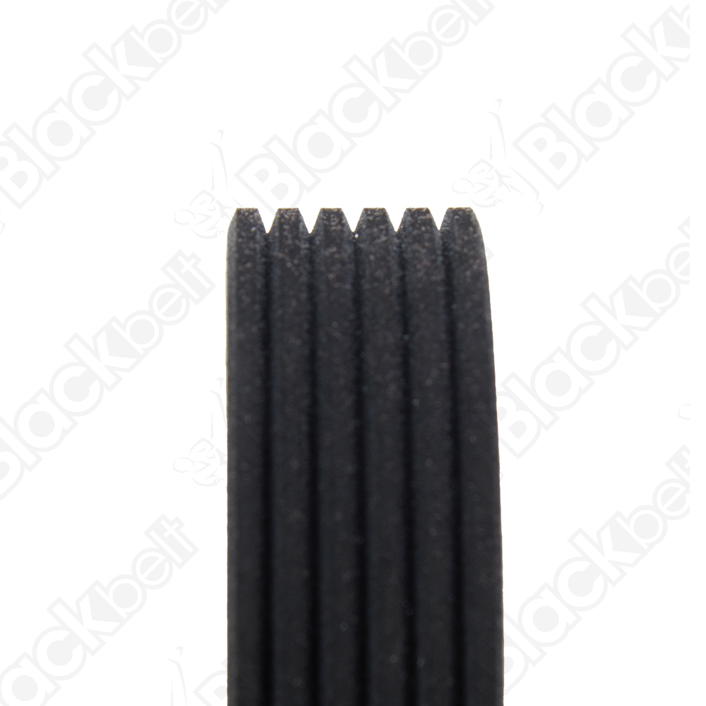 COURROIE SERPENTINE BLACK BELT