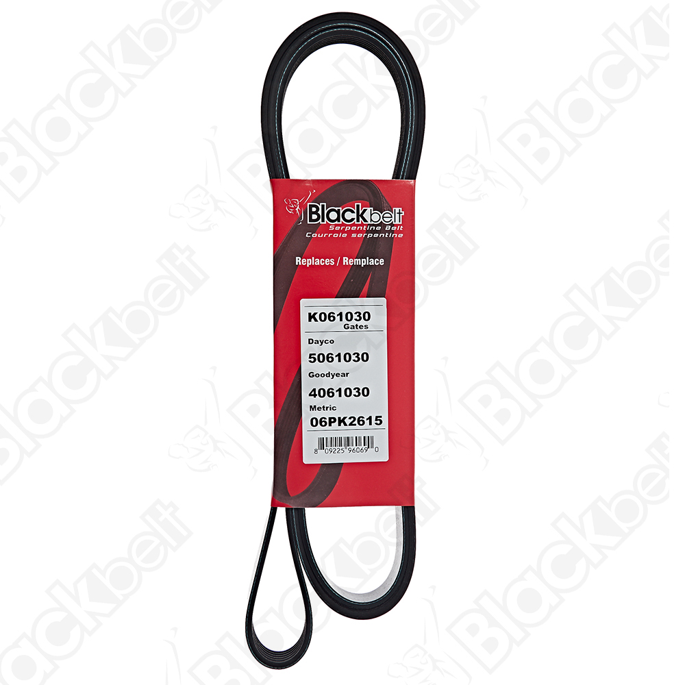 COURROIE SERPENTINE BLACK BELT - 2