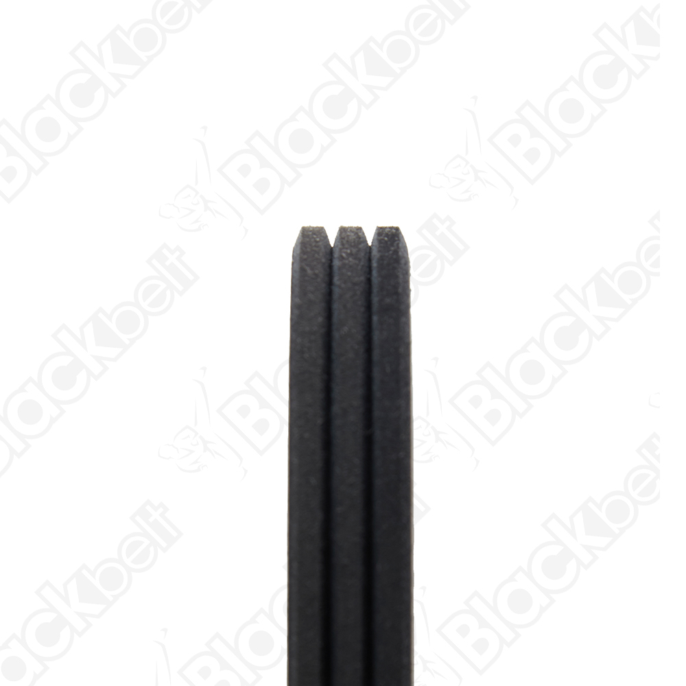 COURROIE SERPENTINE BLACK BELT - 2