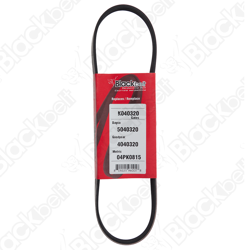 BLACKBELT SERPENTINE BELT - 2