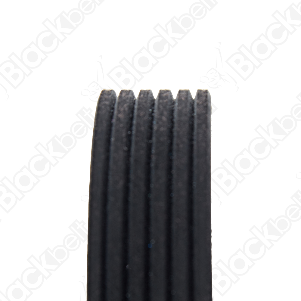 COURROIE SERPENTINE BLACK BELT