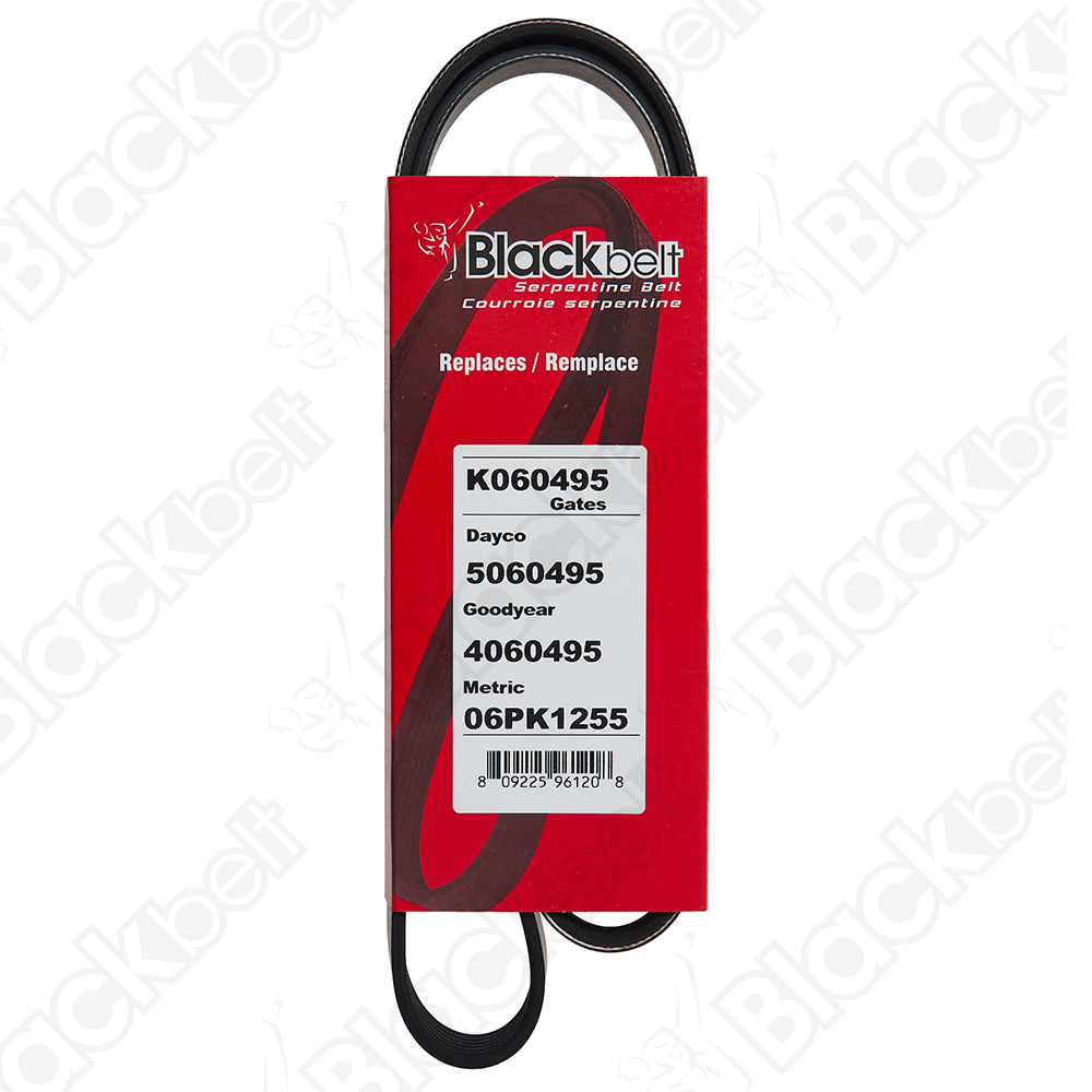 BLACKBELT SERPENTINE BELT - 2