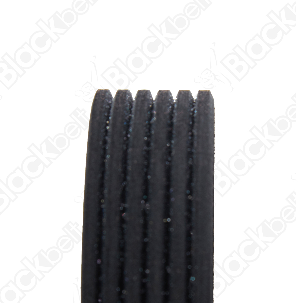 COURROIE SERPENTINE BLACK BELT