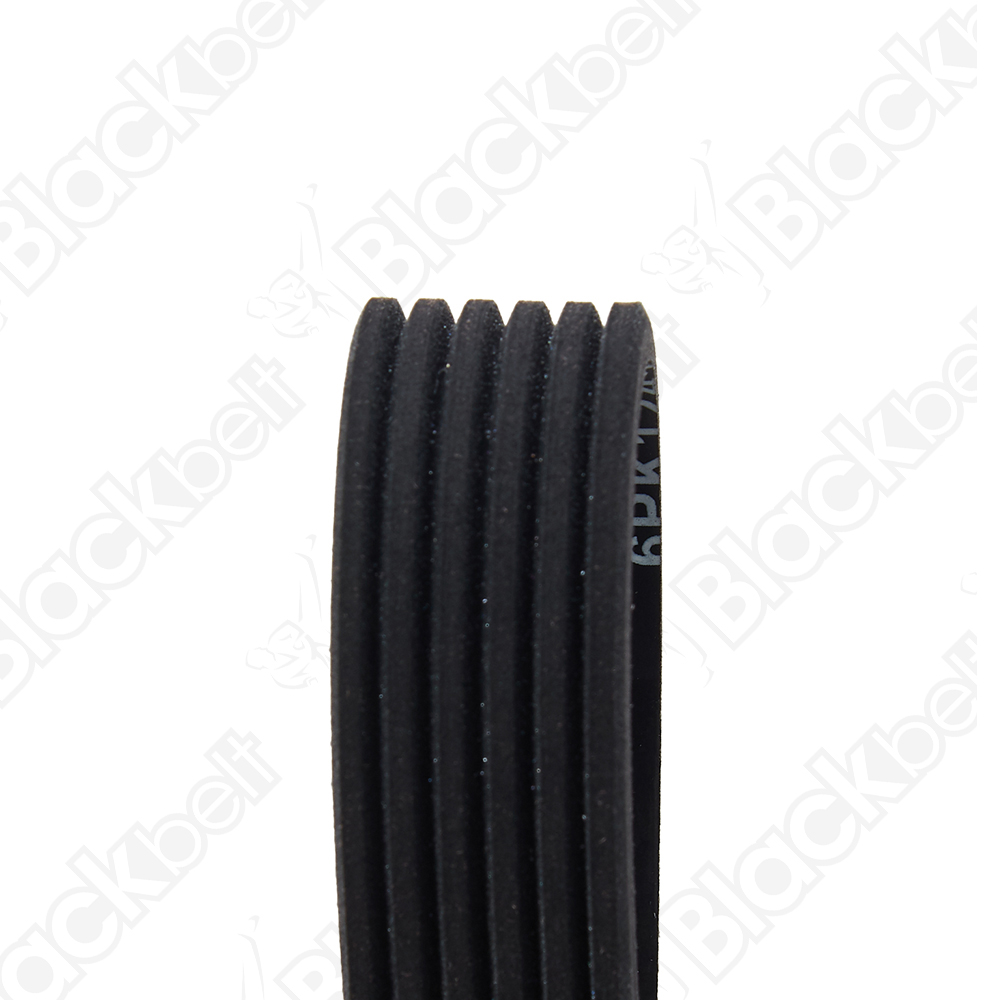 COURROIE SERPENTINE BLACK BELT - 2