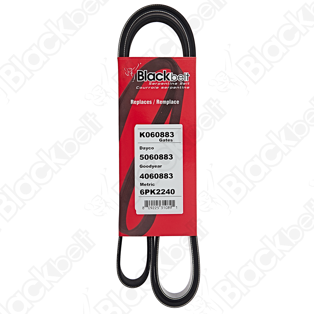 COURROIE SERPENTINE BLACK BELT - 2