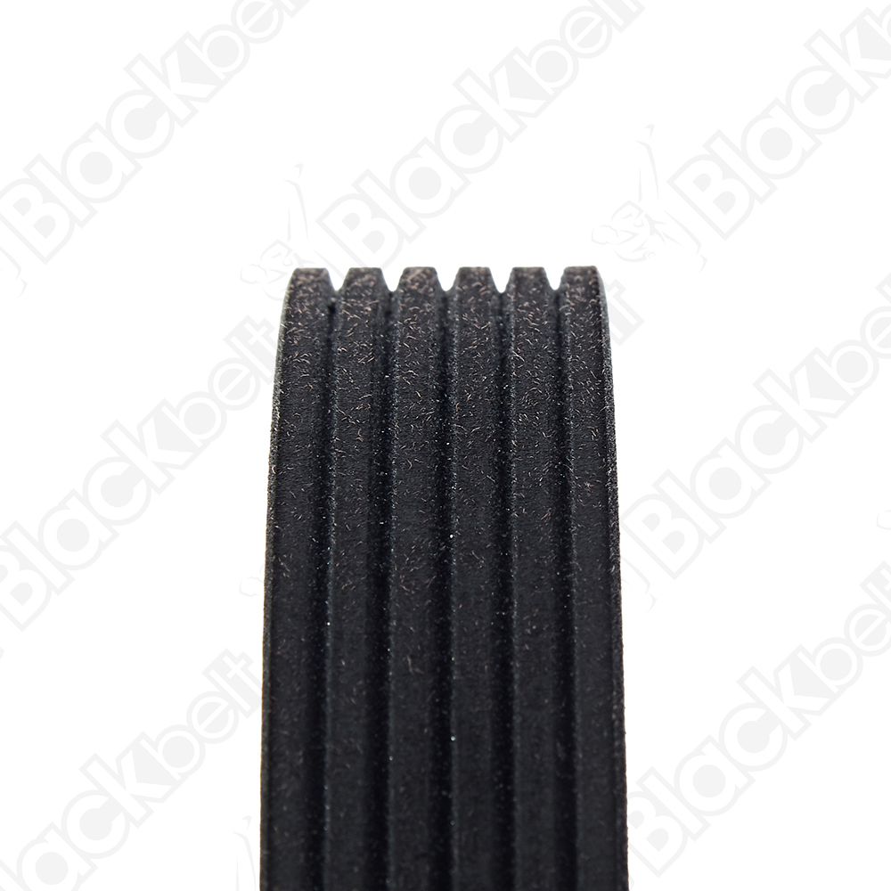 COURROIE SERPENTINE BLACK BELT - 2