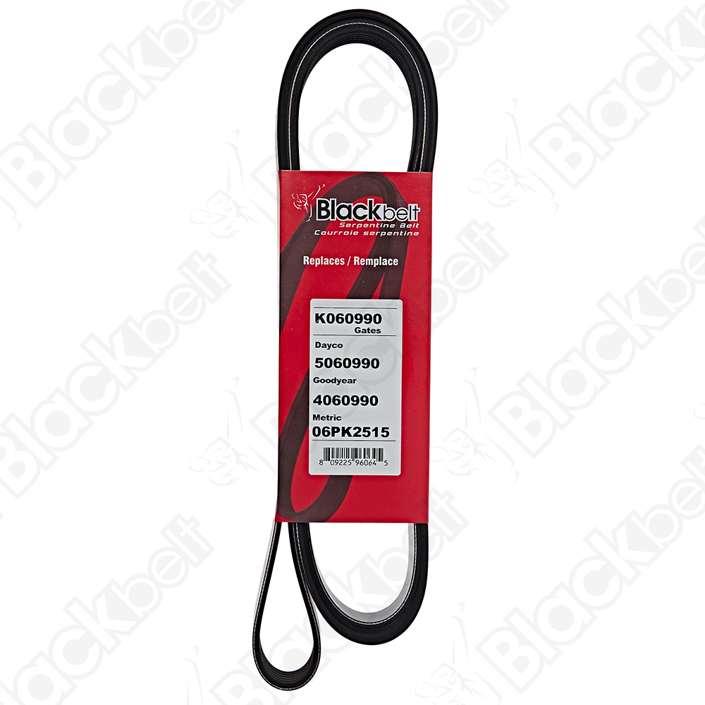 BLACKBELT SERPENTINE BELT - 2