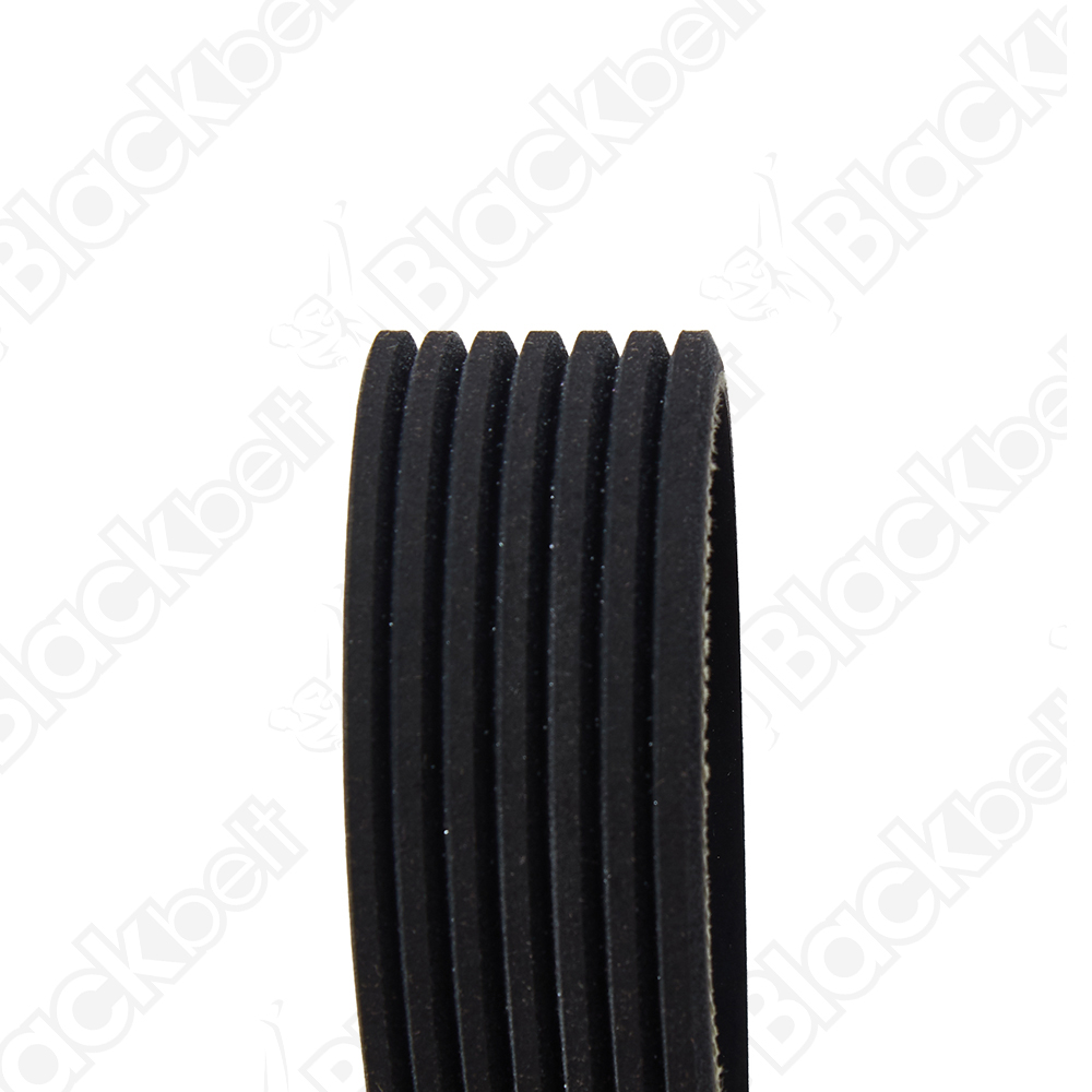 COURROIE SERPENTINE BLACKBELT - 2