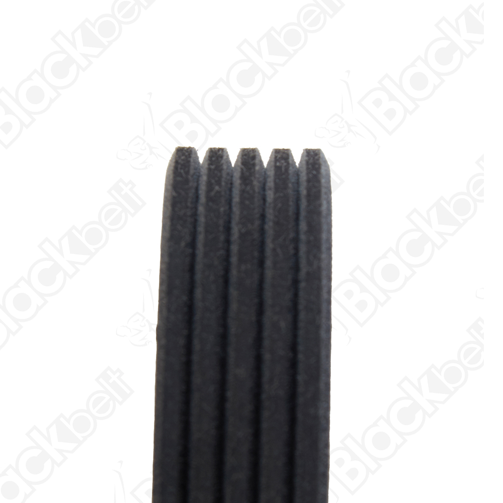 COURROIE SERPENTINE BLACK BELT - 2