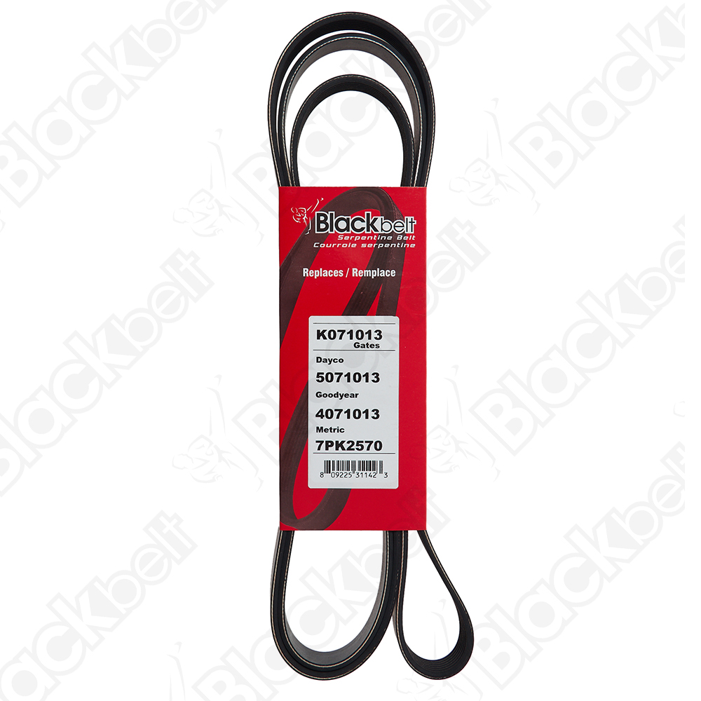 BLACKBELT SERPENTINE BELT - 2
