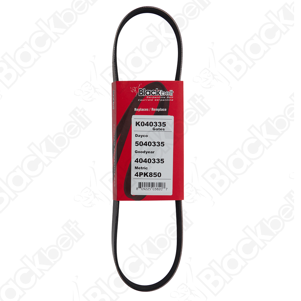 BLACKBELT SERPENTINE BELT - 2