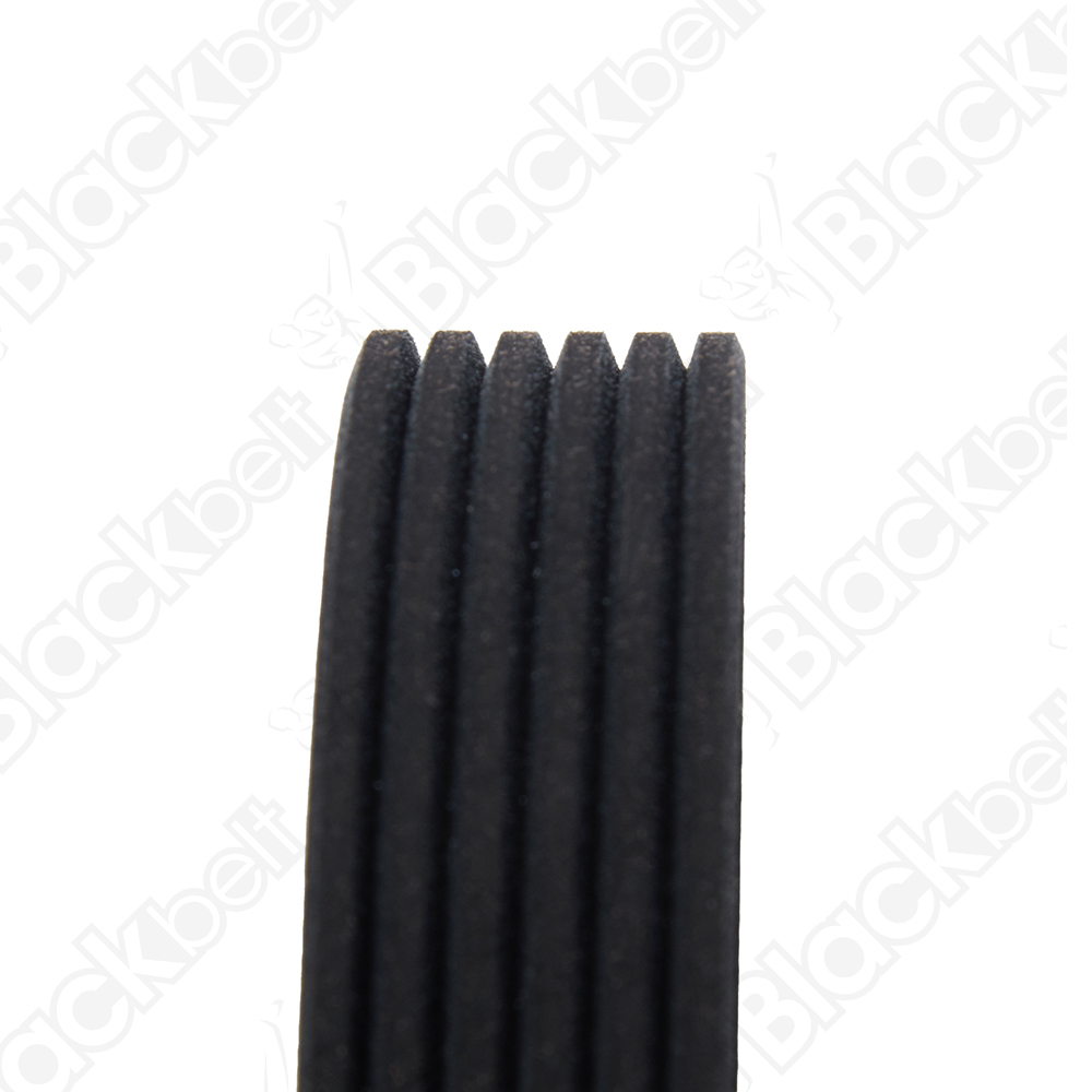 BLACKBELT SERPENTINE BELT - 2