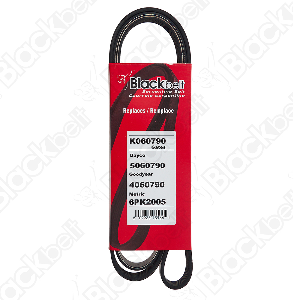 COURROIE SERPENTINE BLACK BELT - 2