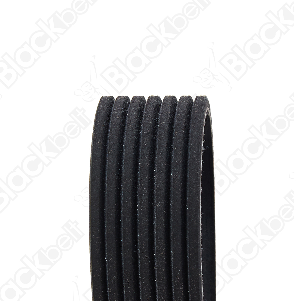 COURROIE SERPENTINE BLACK BELT - 2