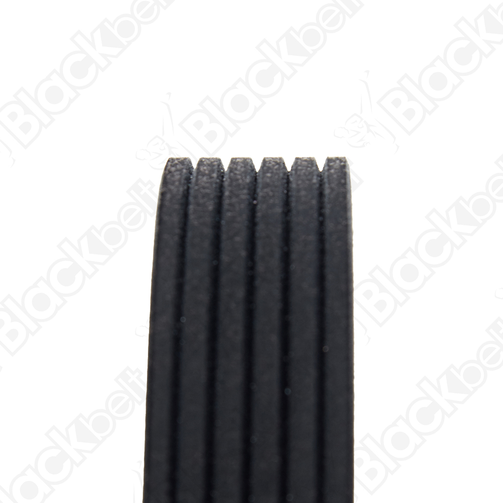 COURROIE SERPENTINE BLACK BELT - 2