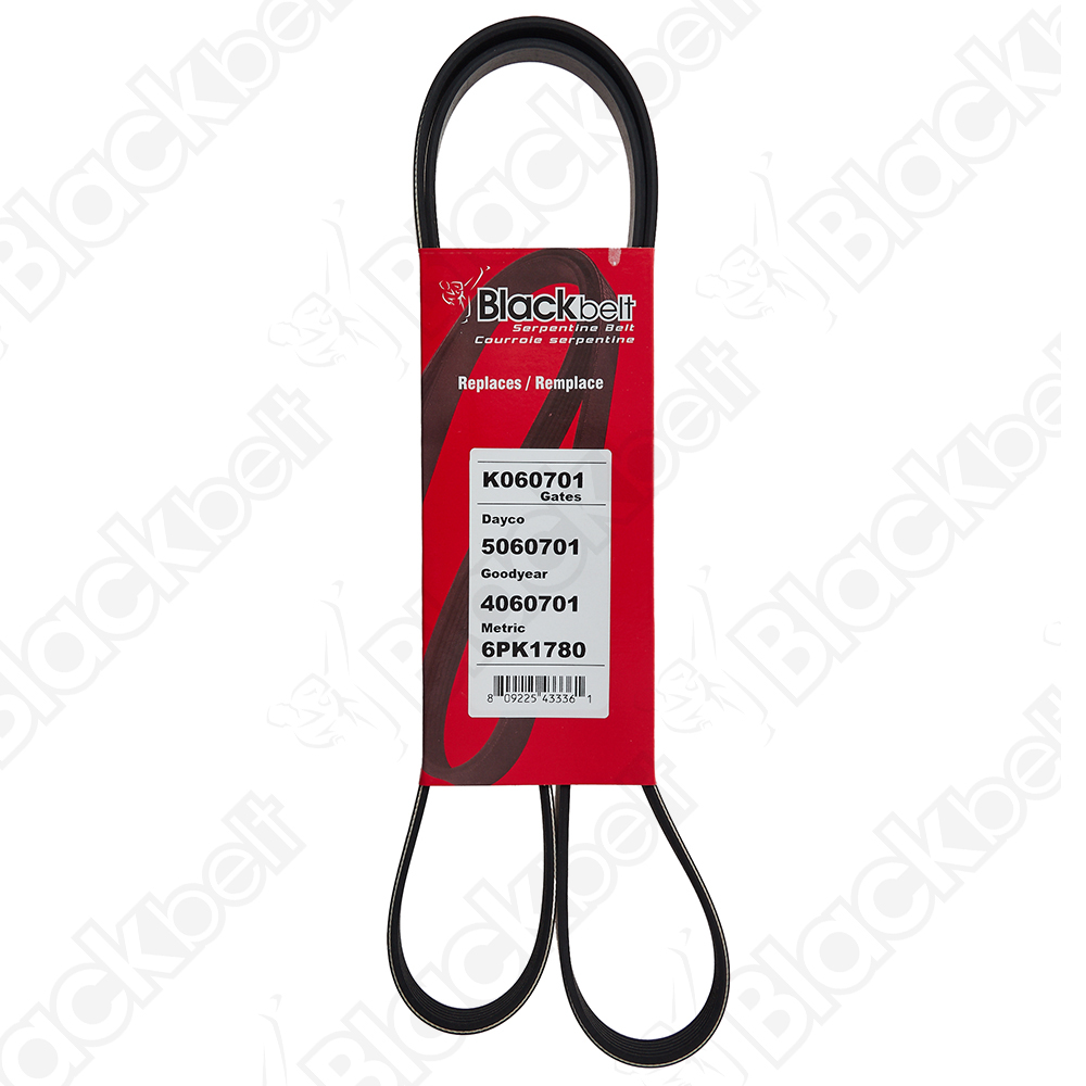 COURROIE SERPENTINE BLACK BELT - 2