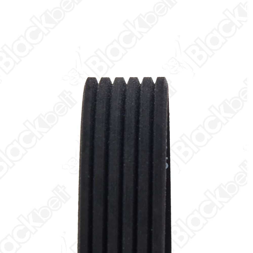 BLACKBELT SERPENTINE BELT - 2