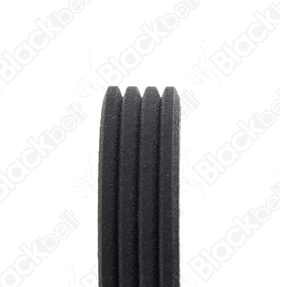 BLACKBELT SERPENTINE BELT