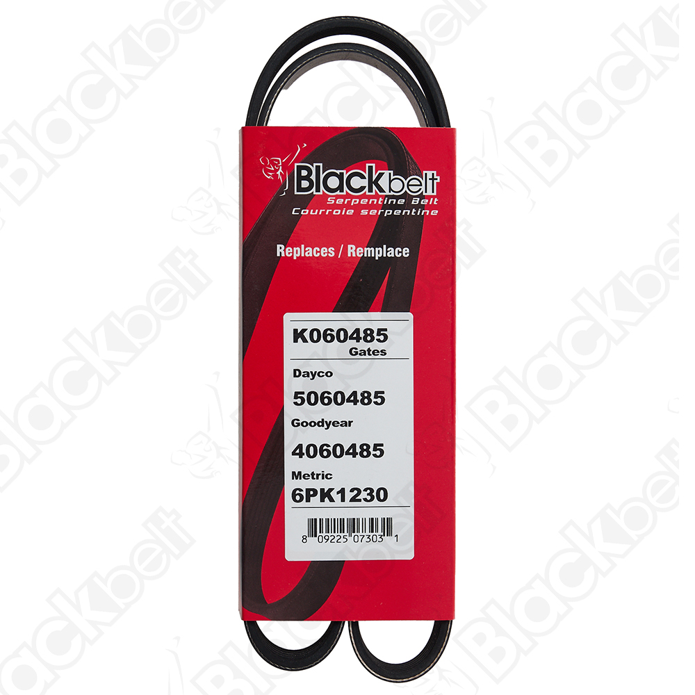 COURROIE SERPENTINE BLACK BELT - 2