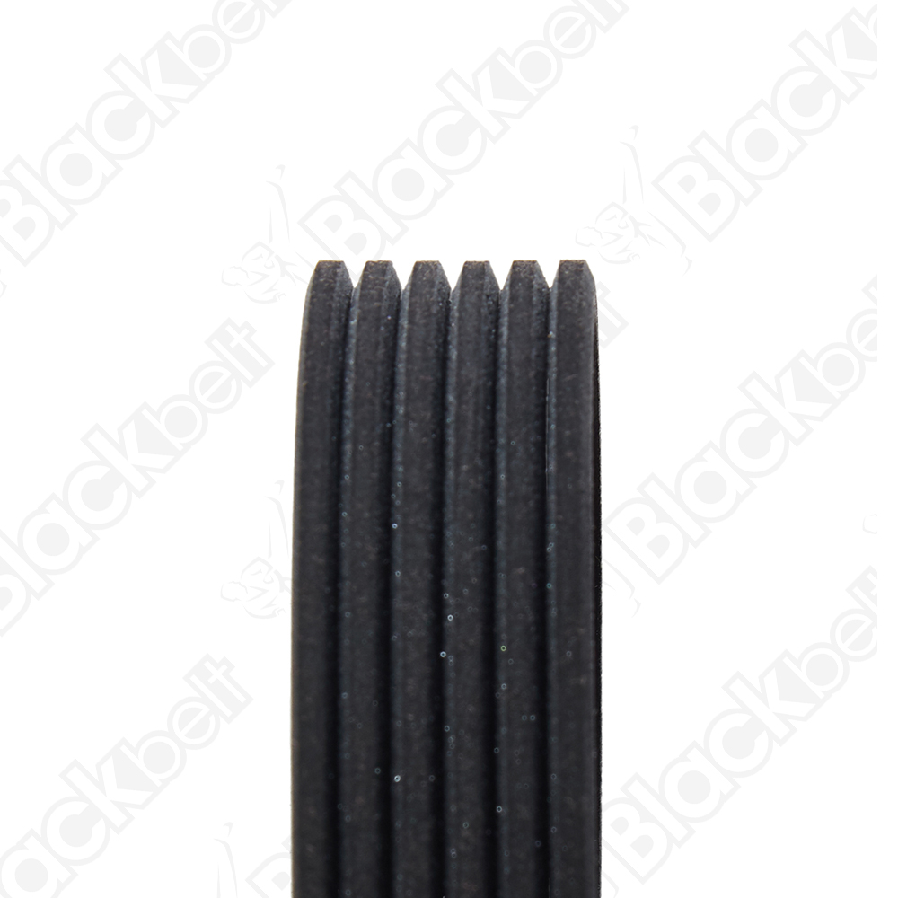 COURROIE SERPENTINE BLACK BELT - 2