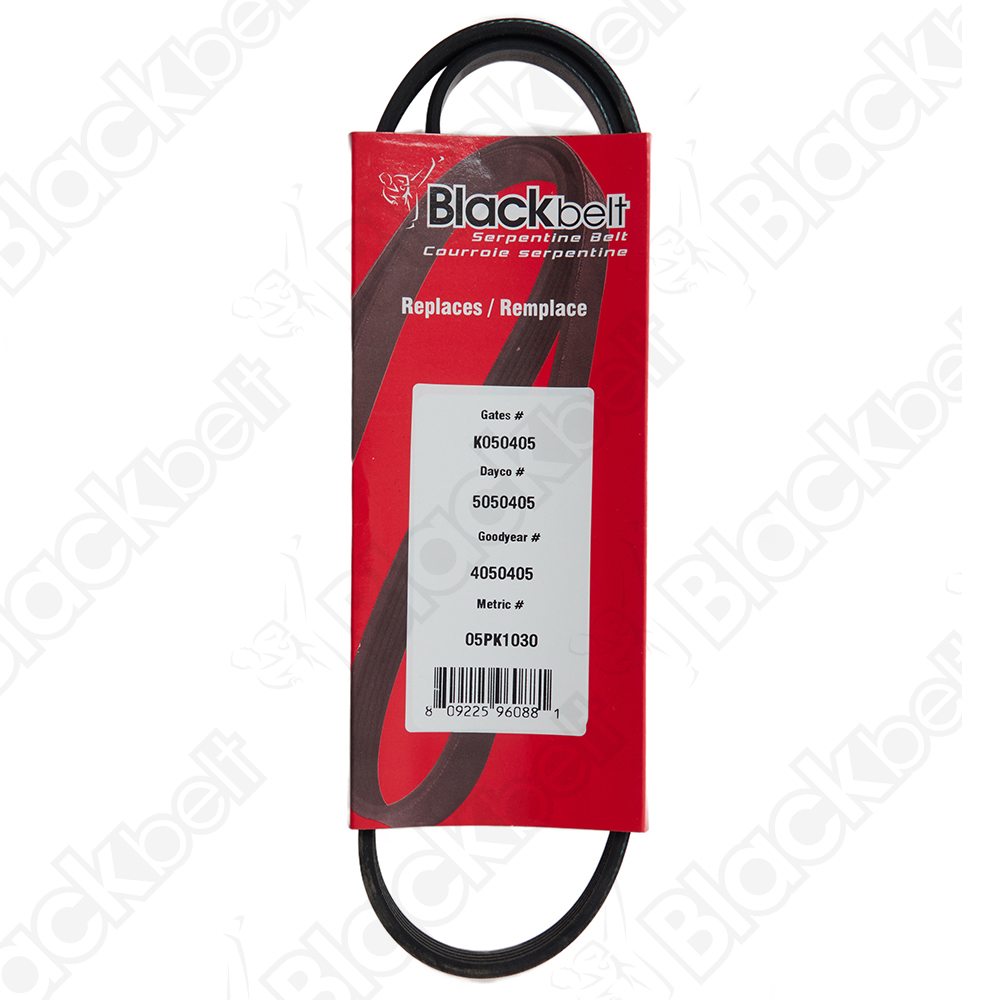 BLACKBELT SERPENTINE BELT - 2