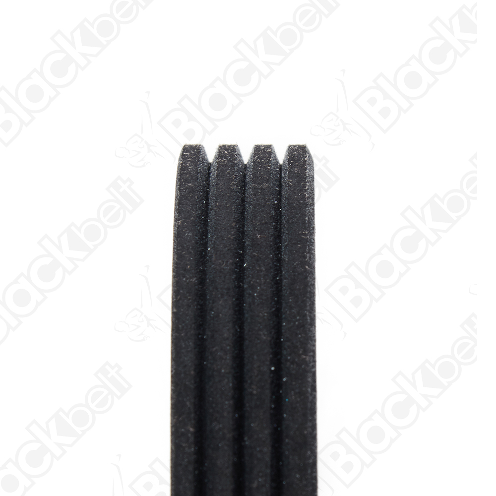 COURROIE SERPENTINE BLACK BELT - 2