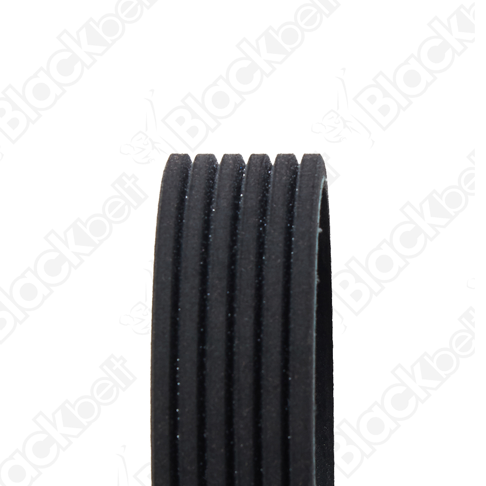 COURROIE SERPENTINE BLACK BELT - 2