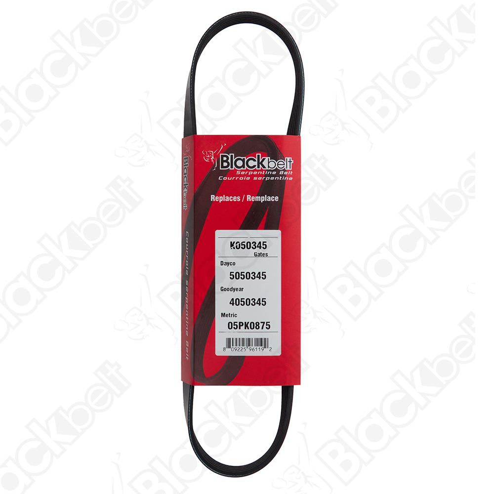 BLACKBELT SERPENTINE BELT - 2