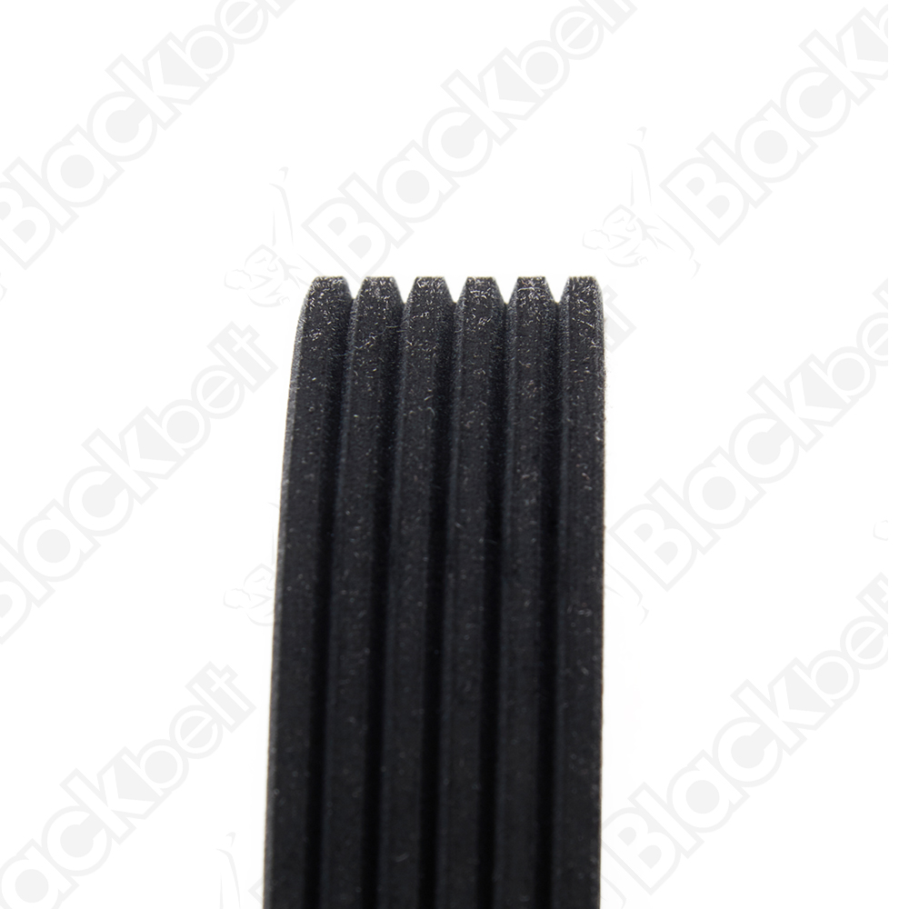 COURROIE SERPENTINE BLACK BELT - 2