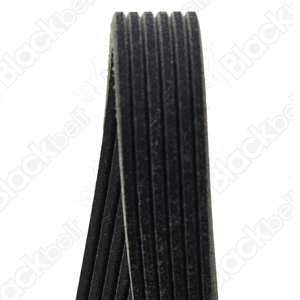 COURROIE SERPENTINE BLACK BELT - 2