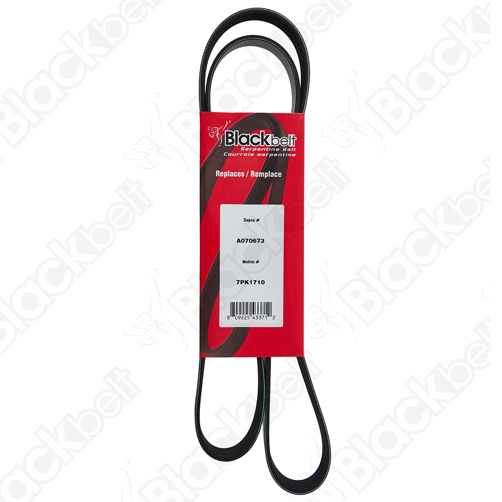 COURROIE SERPENTINE BLACKBELT - 2