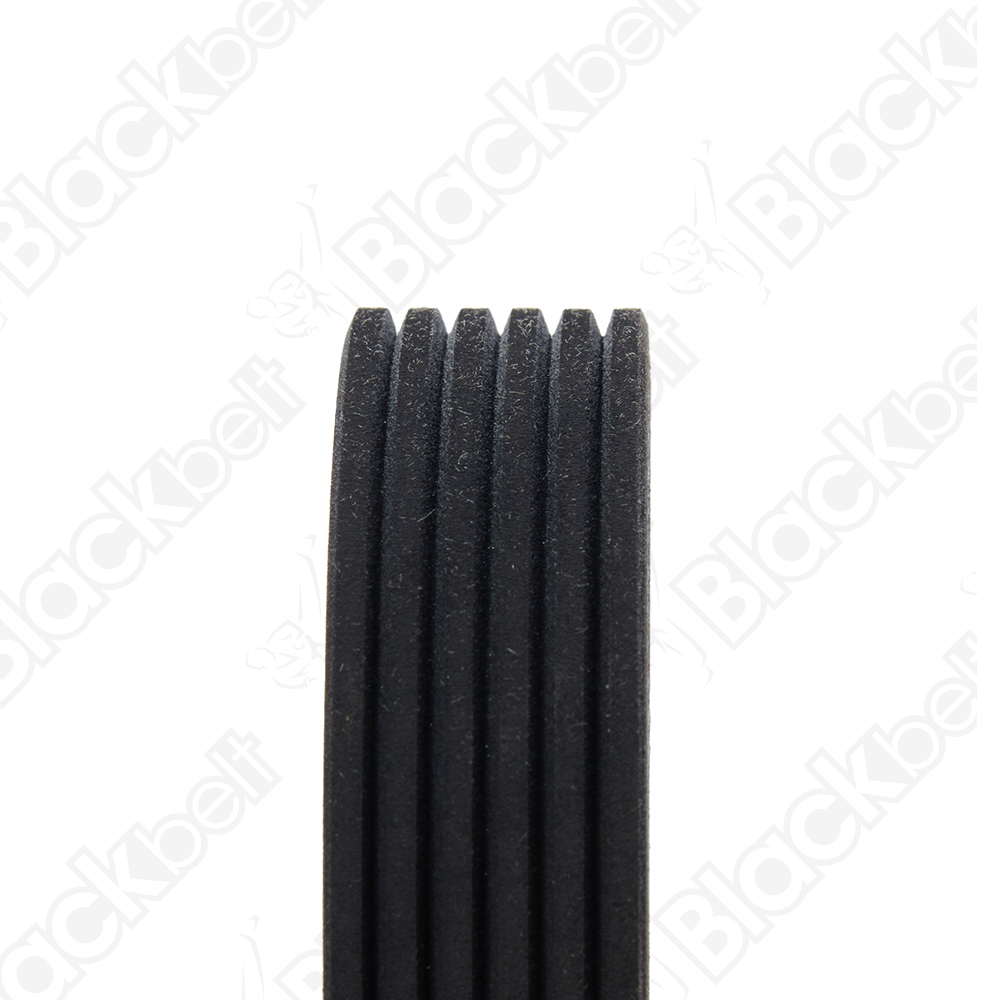BLACKBELT SERPENTINE BELT - 2